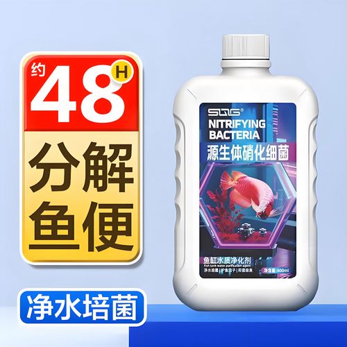 鱼缸水质管理全攻略 硝化细菌、净水剂、除藻剂与液肥的科学使用