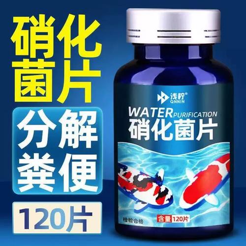 硝化细菌鱼缸净水剂 养鱼水质管理的科学指南